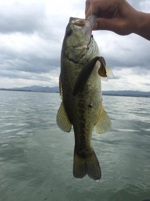 hideup 永野総一朗 ブログ写真 2015/07/21