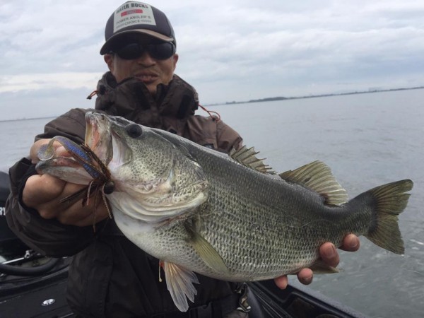 hideup 永野総一朗 ブログ写真 2016/11/19