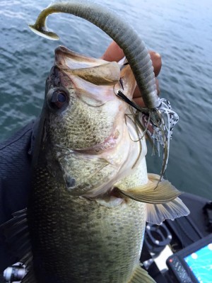 hideup 永野総一朗 ブログ写真 2016/03/27