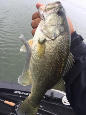 hideup 永野総一朗 ブログ写真 2016/09/28