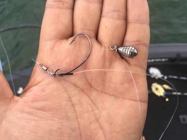 hideup 永野総一朗 ブログ写真 2017/05/17