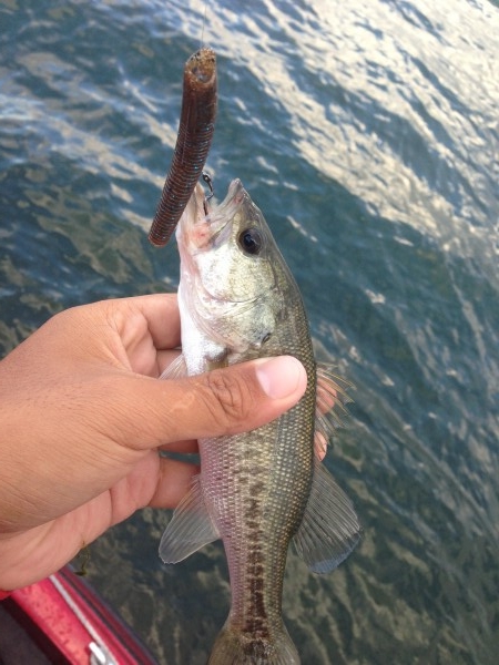 hideup 永野総一朗 ブログ写真 2013/10/09