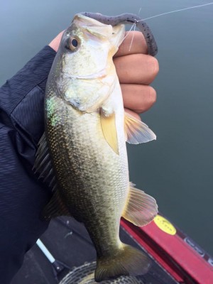 hideup 永野総一朗 ブログ写真 2015/12/21