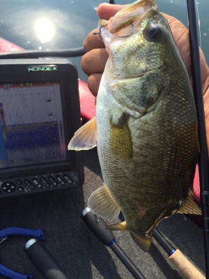 hideup 永野総一朗 ブログ写真 2015/09/24