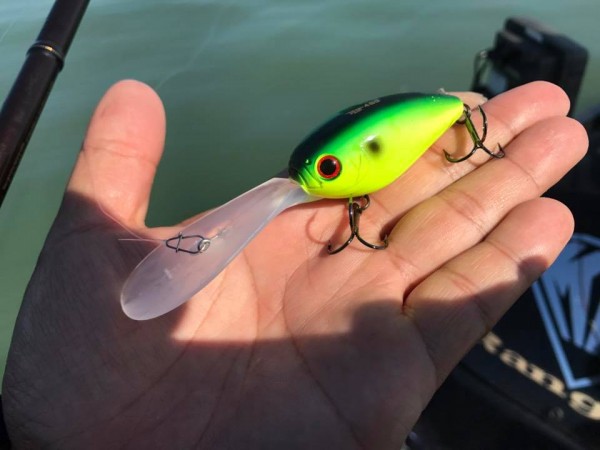 hideup 永野総一朗 ブログ写真 2017/10/27