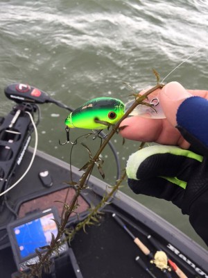 hideup 永野総一朗 ブログ写真 2016/03/01