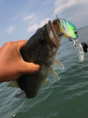 hideup 永野総一朗 ブログ写真 2017/06/01