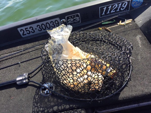 hideup 永野総一朗 ブログ写真 2016/04/15