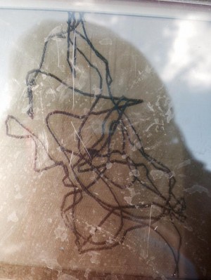 hideup 永野総一朗 ブログ写真 2014/12/02