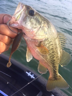 hideup 永野総一朗 ブログ写真 2016/06/18