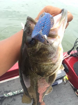 hideup 永野総一朗 ブログ写真 2015/07/21