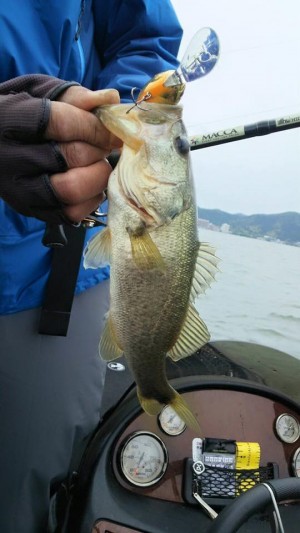 hideup 永野総一朗 ブログ写真 2016/05/03