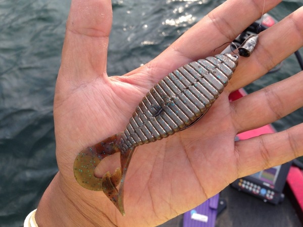 hideup 永野総一朗 ブログ写真 2014/08/14