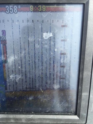 hideup 永野総一朗 ブログ写真 2015/08/11