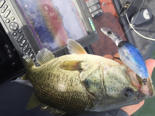 hideup 永野総一朗 ブログ写真 2016/10/17