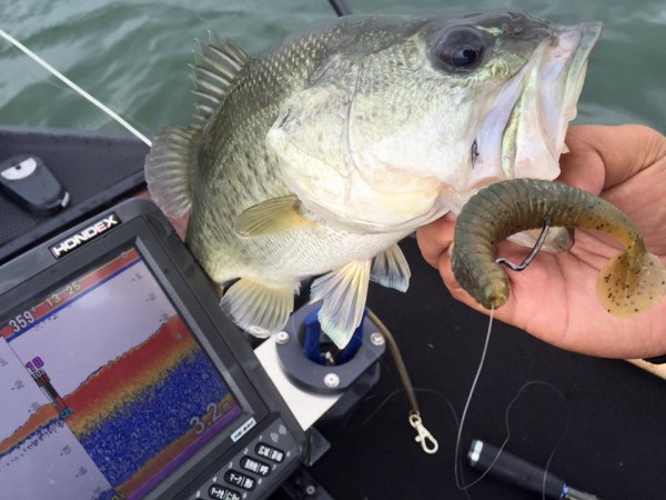 hideup 永野総一朗 ブログ写真 2016/07/26