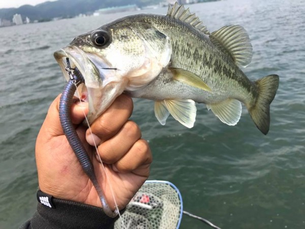 hideup 永野総一朗 ブログ写真 2017/06/01