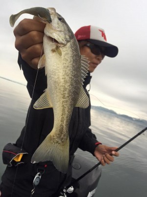 hideup 永野総一朗 ブログ写真 2015/11/09