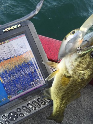 hideup 永野総一朗 ブログ写真 2015/10/08