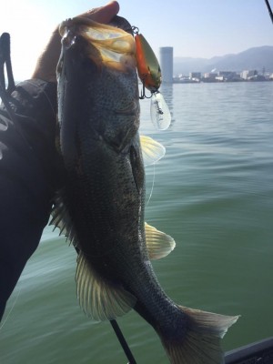 hideup 永野総一朗 ブログ写真 2016/11/05