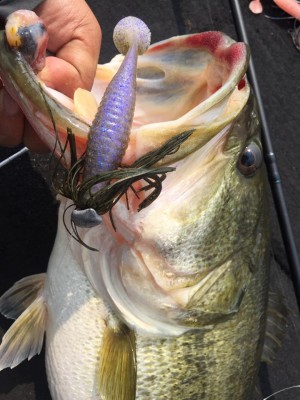 hideup 永野総一朗 ブログ写真 2017/03/19