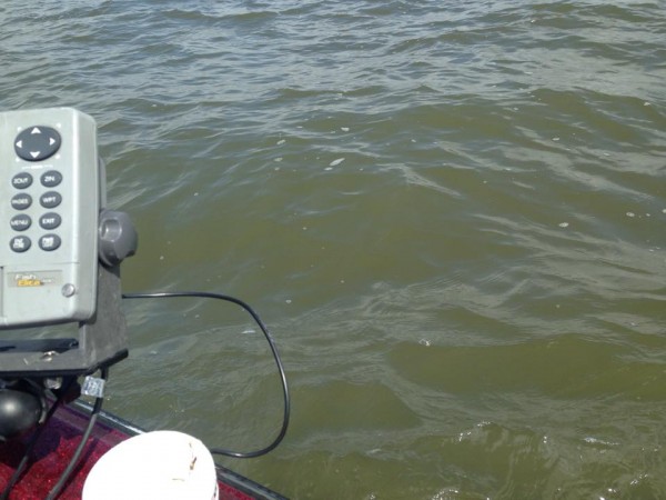 hideup 永野総一朗 ブログ写真 2015/03/24