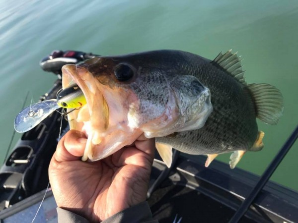 hideup 永野総一朗 ブログ写真 2017/11/02