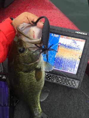 hideup 永野総一朗 ブログ写真 2015/07/05