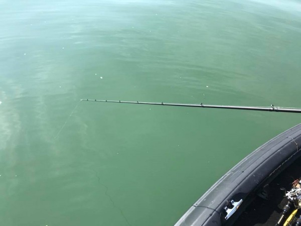 hideup 永野総一朗 ブログ写真 2017/11/02