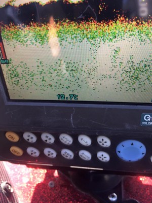 hideup 永野総一朗 ブログ写真 2015/11/28