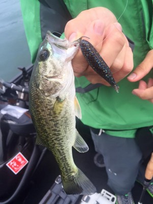 hideup 永野総一朗 ブログ写真 2016/06/20