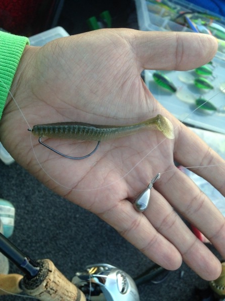 hideup 永野総一朗 ブログ写真 2015/03/18