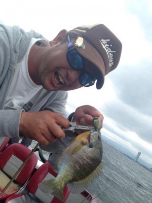 hideup 豌ｸ驥守ｷ丈ｸ譛� 繝悶Ο繧ｰ蜀咏悄 2015/06/09