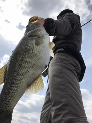 hideup 永野総一朗 ブログ写真 2017/03/22