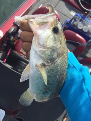 hideup 永野総一朗 ブログ写真 2015/09/18