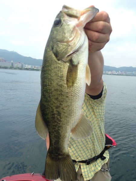 hideup 永野総一朗 ブログ写真 2014/07/17