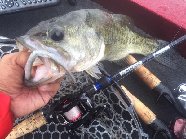 hideup 永野総一朗 ブログ写真 2015/09/03