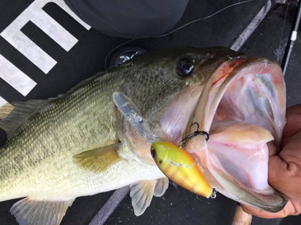 hideup 永野総一朗 ブログ写真 2017/11/05