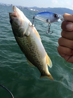 hideup 永野総一朗 ブログ写真 2016/08/13