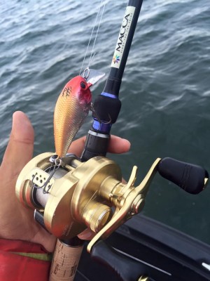 hideup 永野総一朗 ブログ写真 2016/05/16