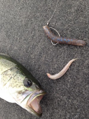 hideup 永野総一朗 ブログ写真 2015/06/09