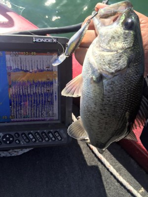 hideup 永野総一朗 ブログ写真 2015/11/11