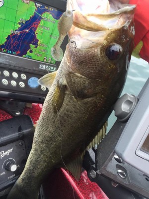 hideup 永野総一朗 ブログ写真 2015/09/16