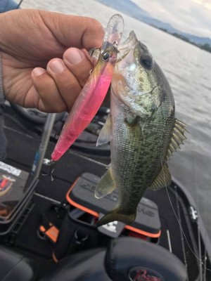 hideup 永野総一朗 ブログ写真 2017/10/17