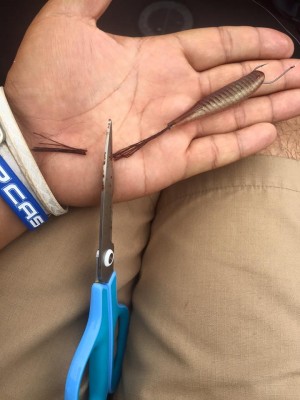 hideup 永野総一朗 ブログ写真 2016/06/13