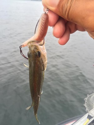 hideup 永野総一朗 ブログ写真 2015/09/01