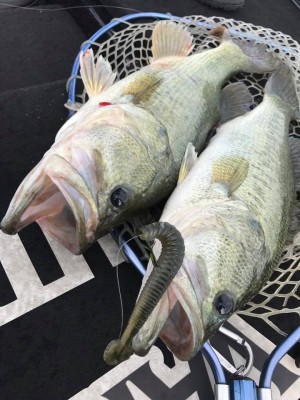 hideup 永野総一朗 ブログ写真 2017/06/12