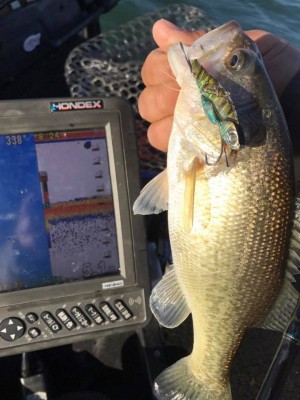 hideup 永野総一朗 ブログ写真 2017/11/25