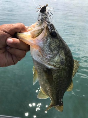 hideup 永野総一朗 ブログ写真 2017/07/16