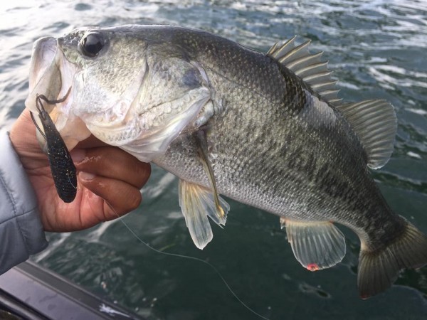 hideup 永野総一朗 ブログ写真 2016/10/21